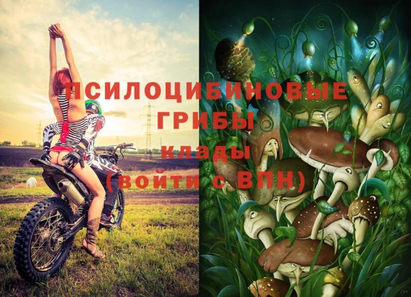 эйфоретик Аркадак