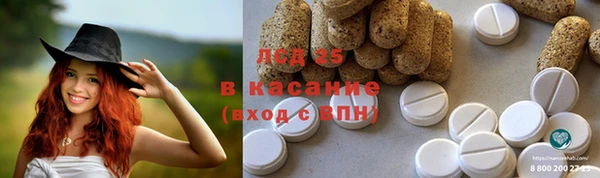 эйфоретик Аркадак