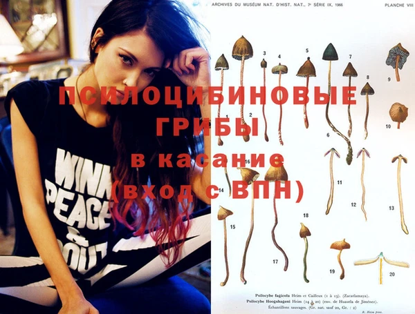 эйфоретик Аркадак